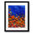 Black Framed Paper selected