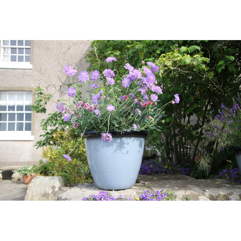 Sundhya Pot Planter, Grey Speckled/Black Gloss, 10.5cm H x 13cm W x 13cm D