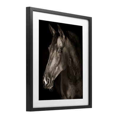 Strong Stallion Horse Portrait Framed Print Under Glass, design by Marcus Prime