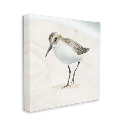 «Stepping Sandpiper Bird Ocean Shoreline Beach Scene» par Lucca Sheppard - impression sur toile tendue