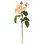 ENGLISH ROSE TAMORA STEM