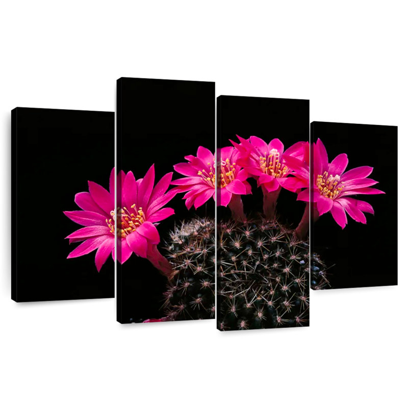 Harnek Pink Cactus Flowers
