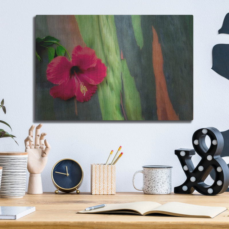 «Hibiscus» par Dennis Frates, H 12 po x l 16 po
