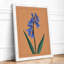 Blue Iris Botanical - Framed Print-102737428-102737429
