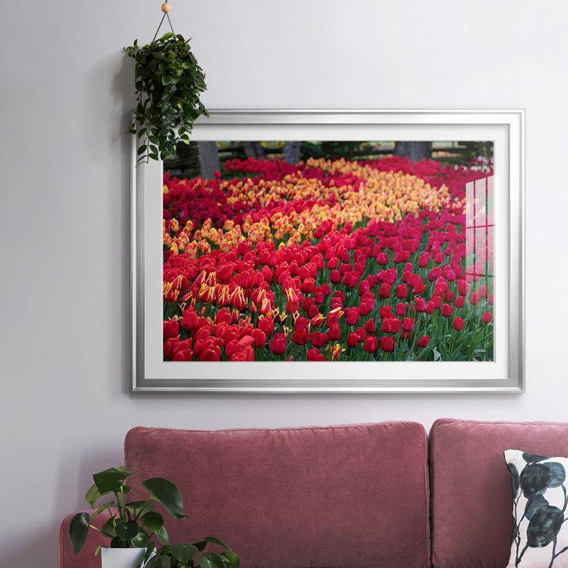 Field of Tulips II, reproduction d'art encadrée, Argent, H 15 po x l 21 po x P 1,5 po