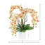 Modern Orchid Arrangement in Round Fiberstone Pot-1084581254