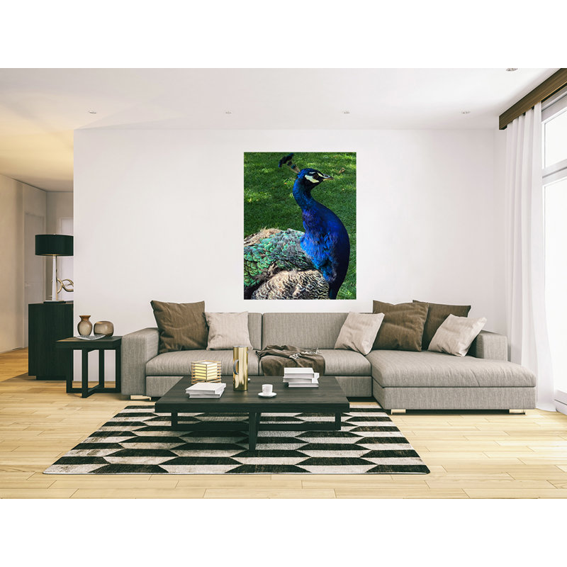 Beautiful Peacock Head - Wrapped Canvas Print