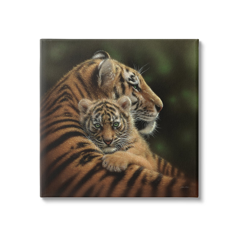 Adorable «Sweet Mom Tiger» tenant un bébé en peluche par Collin Bogle - photographie, H 36 po x l 36 po x P 1,5 po
