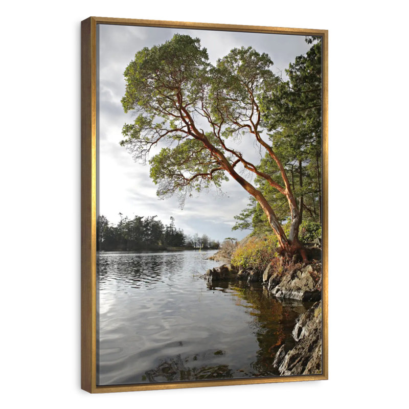 Arbousier au bord de l'eau, Cadre flottant doré, 17" x 25"