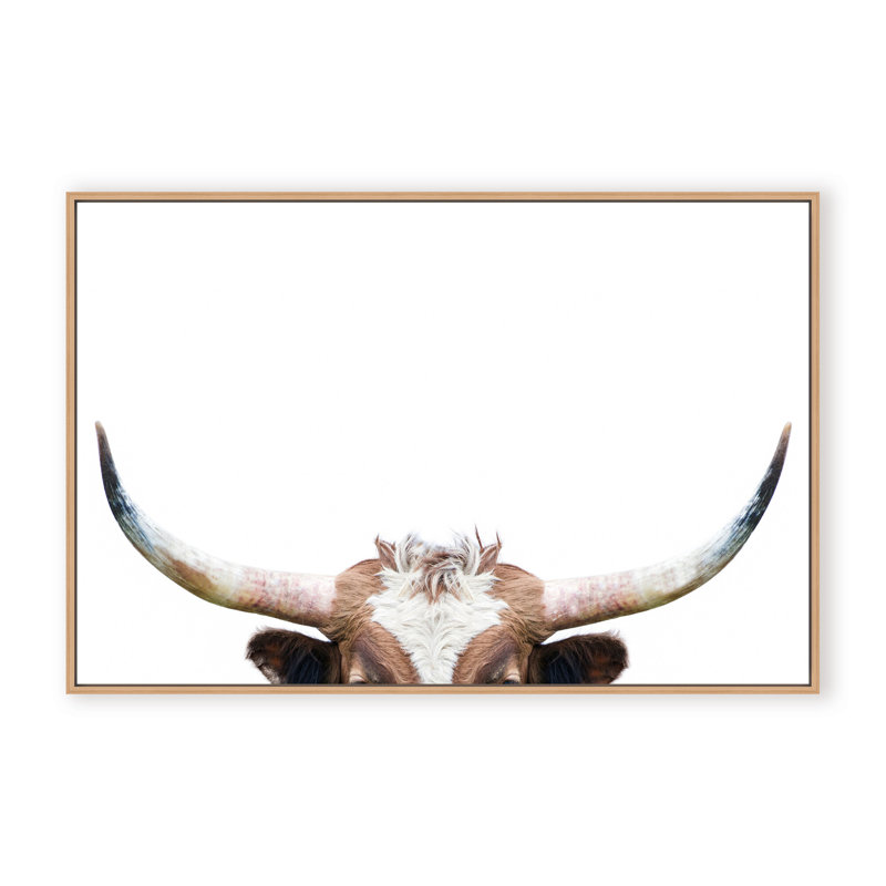 Nature Inspired Peeking Longhorn Cow by  - Picture Frame Photograph on Paper, 16" H x 24" W x 1.125" D, Framed Print, White