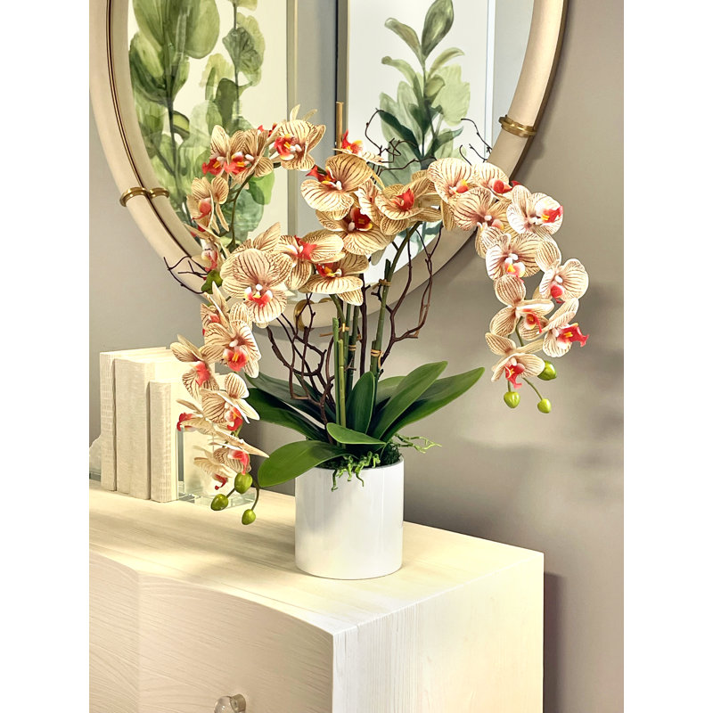 Modern Orchid Arrangement in Round Fiberstone Pot, Brown/Beige/Orange