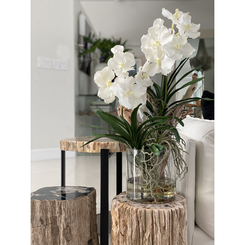 Vanda Orchids And Driftwood Inside Glass Cylinder