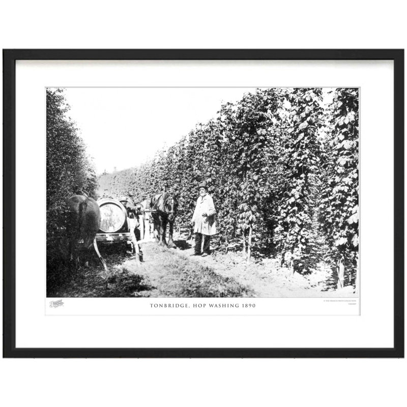 Tonbridge, Hop Washing 1890 by Francis Frith - Single Picture Frame Print, 45cm H x 60cm W x 2.3cm D