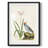 Avant Mod I -Gallery Wrapped Canvas