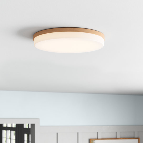 Wade Logan® Trotman LED Flush Mount & Reviews | Wayfair