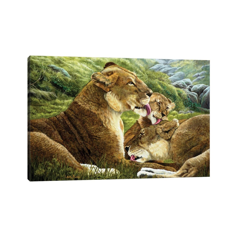 Morning Bath by Laura Curtin - Wrapped Canvas Print, 101.6 cm H x 66.04 cm W x 1.91 cm D