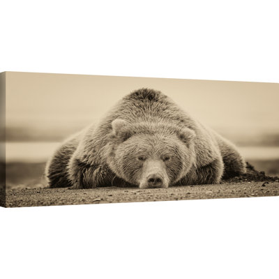 " Deep Sleep "
