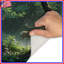 Tapis de bain Deer In Dense Forest-242620196
