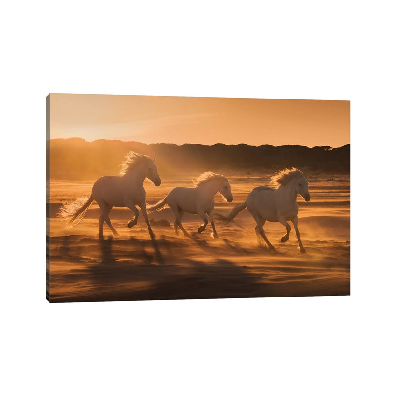 White Angels Of Camargue XLII by Daniel Kordan - Wrapped Canvas Print, 20.32 cm H x 30.48 cm W