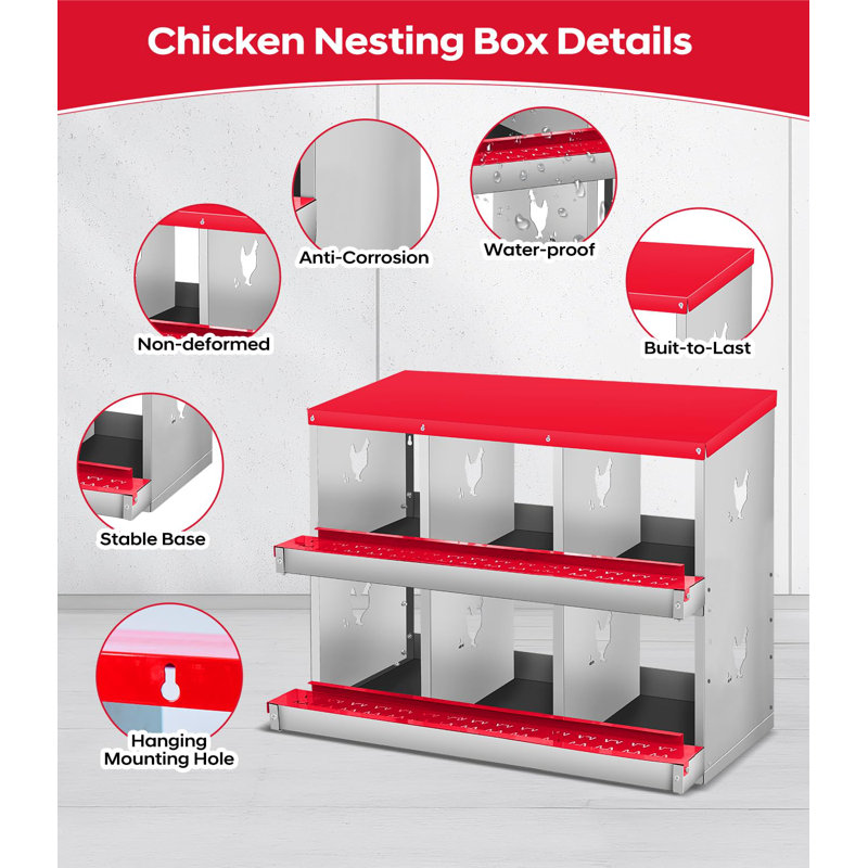 6 Compartment Chicken Nesting Box, Chicken Laying Boxes to Protect Eggs, Easy to Clean & Install, Orange