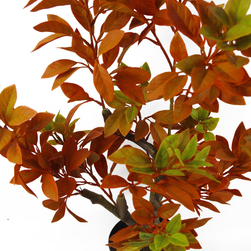 Anlin 80cm Faux Ficus Tree in Pot, Yellow