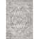 Oriental Light Gray Area Rug