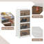 4 Pair Stackable Shoe Storage Box