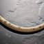 Hansgrohe Designflex Textile Handshower Hose, 63"-2095348659