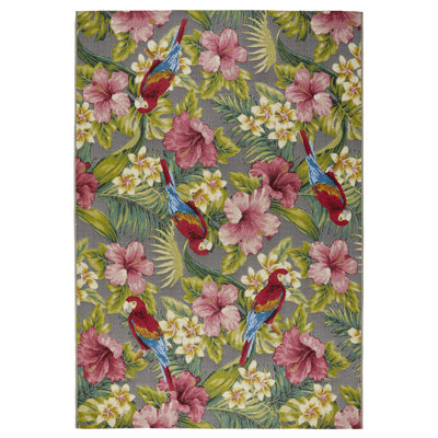 Caggiano Ombre Area Rug