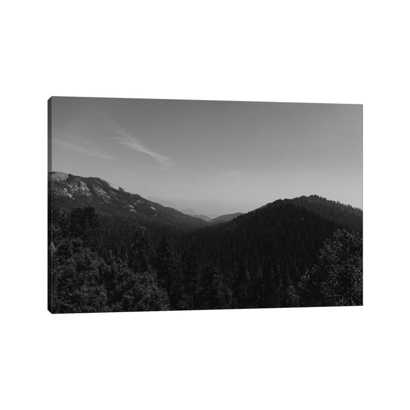 «Sequoia National Park II» par Bethany Young, reproduction de photo sur toile tendue, H 40 po x l 60 po x 1,5 po