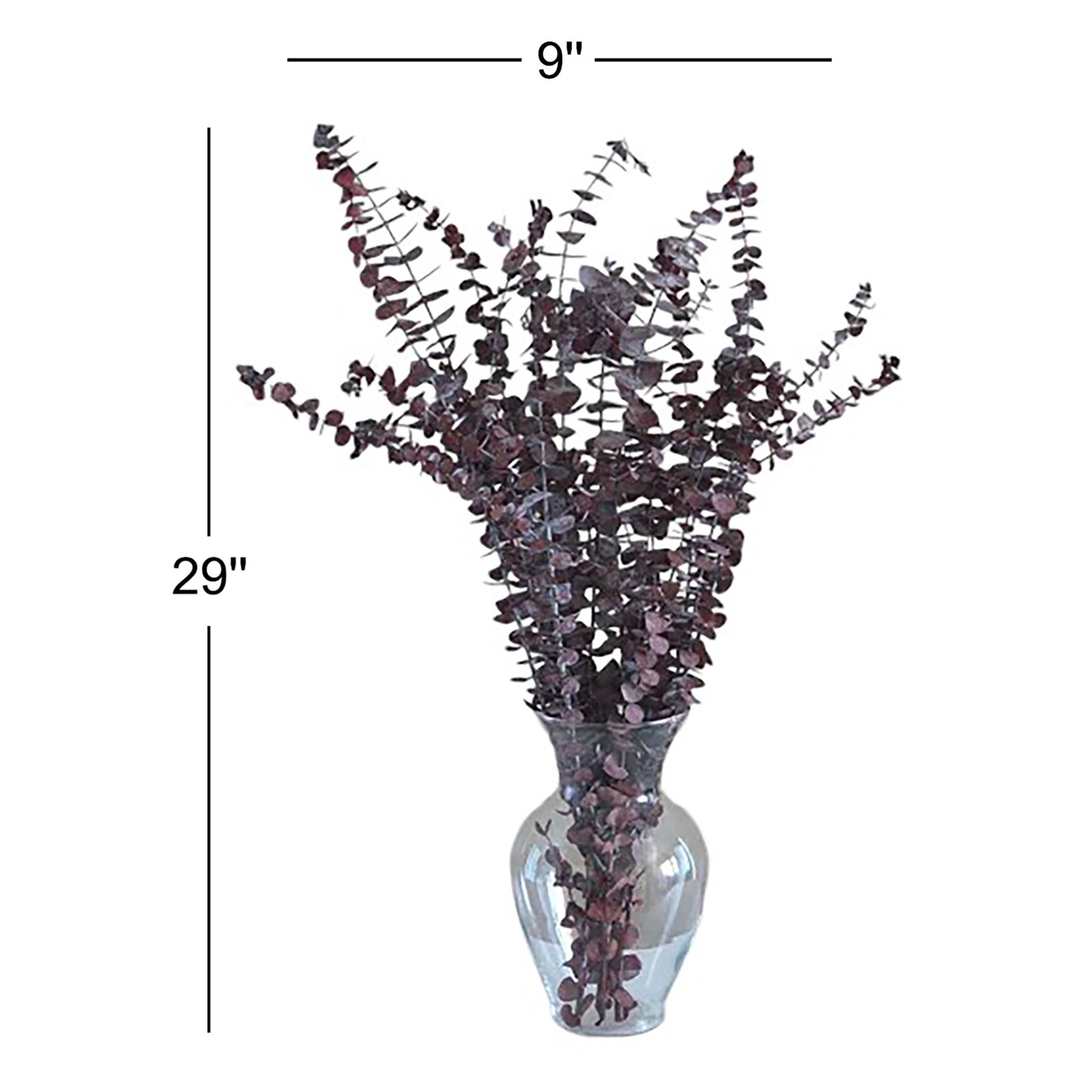 Preserved Eucalyptus Stems, Red