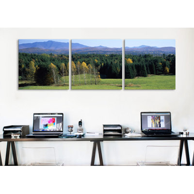 " Trees In A Forest, Stowe, Lamoille County, Vermont, USA " by Panoramic Images
