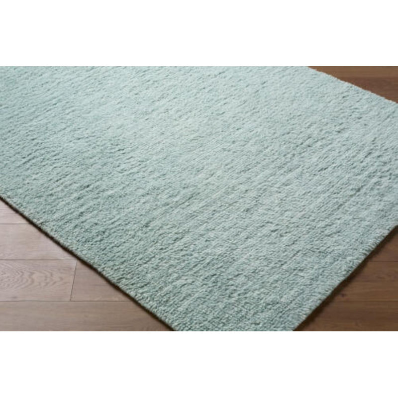 Tapis fait à la main Snuggle, Écume de mer, écume de mer, Rectangulaire 2 pi x 3 pi