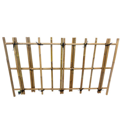 36'' H x 60'' W Tan Bamboo Fencing