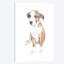 « doux chiot dog », impression sur toile-31857830-73215399-73215403