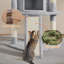 Arbre à chat 42 po pour petits et moyens chats Davalos-1888141034