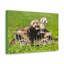No Frame Print on Canvas-509267938