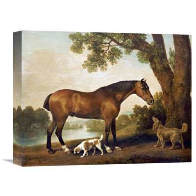 " A Bay Hunter, A Springer Spaniel And A Sussex Spaniel, 1782 " by George Stubbs