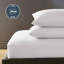 Silentnight Pure Cotton 200 TC Extra Deep Fitted Sheet-112620260-112620265