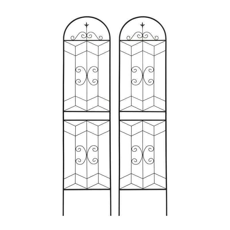 Paquet de 2 treillis de jardin en métal antirouille pour plantes grimpantes
