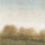 «Golden Treeline II», reproduction d'art sur toile tendue-20833659-73161392-73161393
