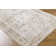 Janiaha Oriental Indoor Rug