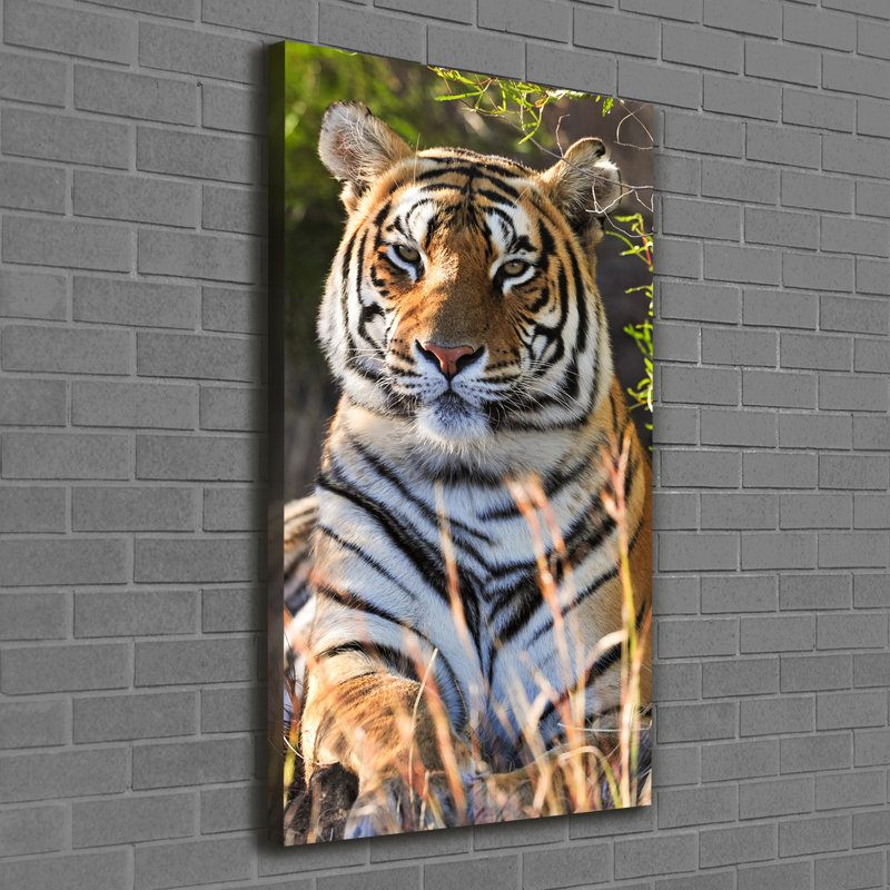 Tiger - Wrapped Canvas Print