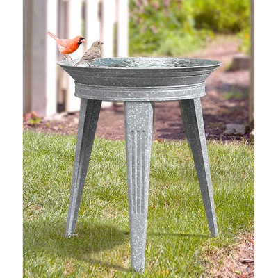 Bain d'oiseaux rétro