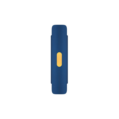 Lupe  Flush Mounted Sconce