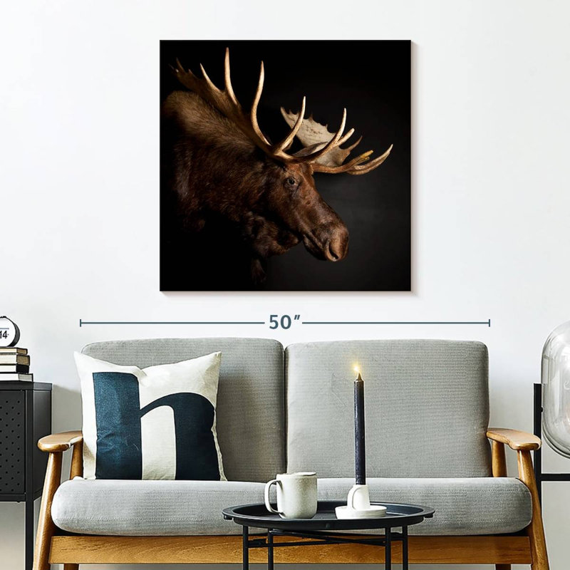 Brampt Antlered Moose, 30" H x 30" W