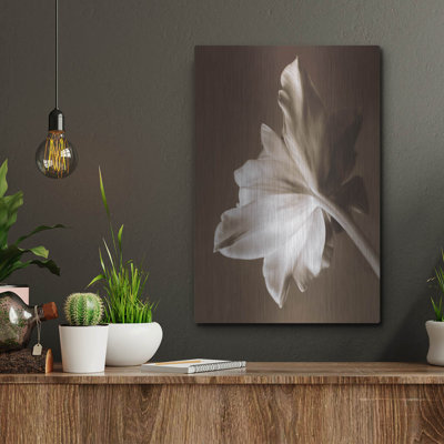 «Moonglow Tulip» par Rebecca Swanson