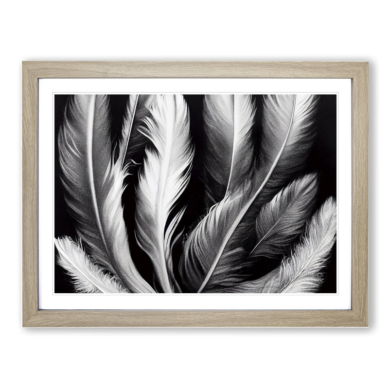 Inconceivable Bird Feathers - Single Picture Frame Print, 46cm H x 64cm W x 2cm D, Oak