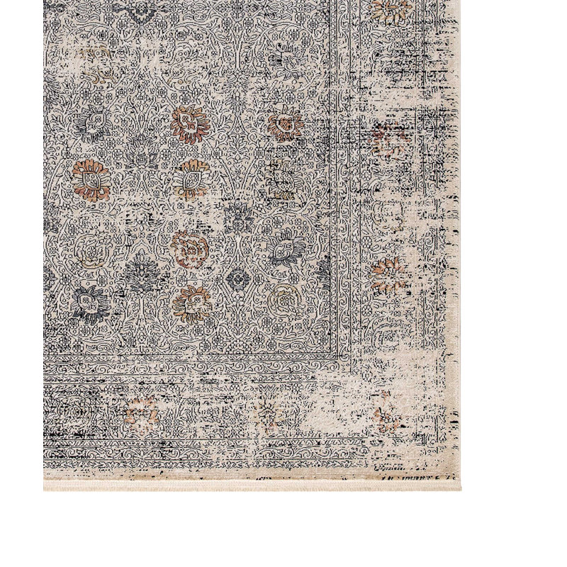 Tanyell Oriental Indoor Rug, Rectangle 2'7" x 5'