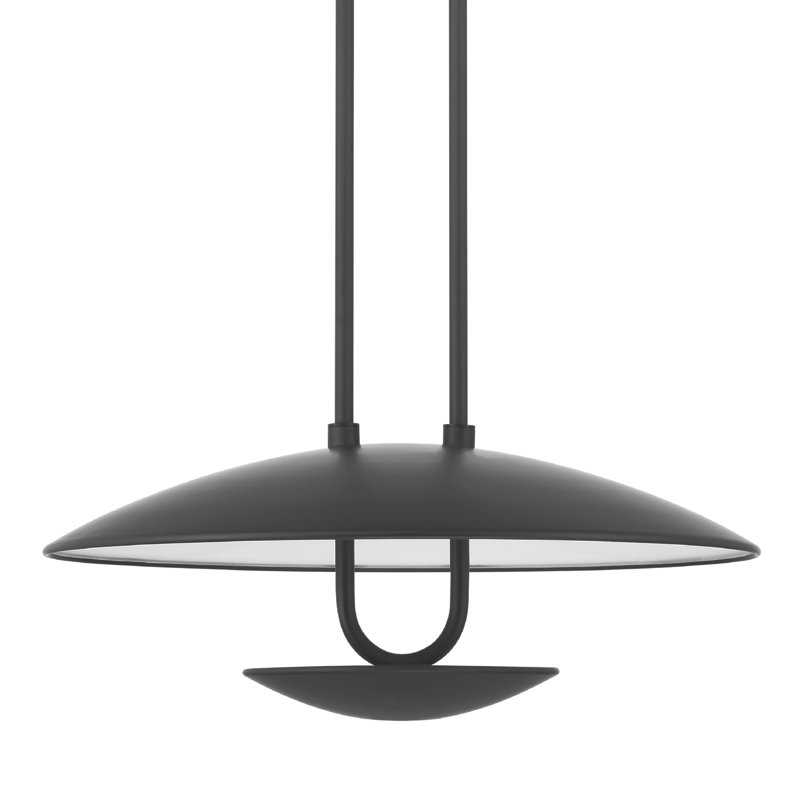 Hunter Sunset Ridge Large Adjustable Matte Black Pendant Ceiling Light Fixture, Matte Black